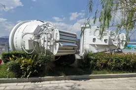 这是什么东西有人认识吗？图片
