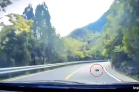 遥控玩具车“跑山”引热议，“车”主：这路是你们家的啊图片