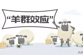 申论大作文写作必知的十九个原理效应！内含启示应用！图片