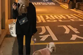 时尚博主的日常穿搭，普通人也能Copy? 也太显气质了吧图片