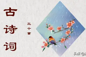 三年级 | 古诗词30首图片