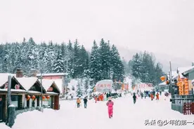 “明码标价”的雪乡，“口是心非”的游客，本地人：这不还是来了图片