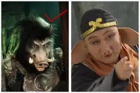 中国原本是黑猪多，短短几十年却都成了白猪？原因为何？图片