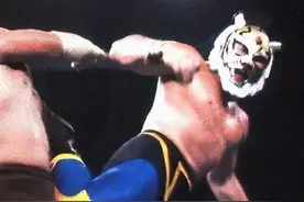 MMA运动前世今生发展史，终结李小龙是“MMA之父”的谎言图片