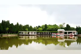 赏秋何必远行 四龙的这个地方承包了所有秋景图片