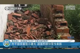 南京溧水拆违冒出“钉子户”村干部房屋批小建大图片