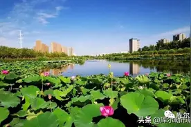 库尔勒市全面推进冬季空气质量攻坚行动图片