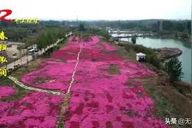 春归滹沱百里画廊——平山泓润生态园图片