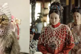 猫咪也过上万圣节，COS延禧攻略、黑魔女造型一个比一个搞笑图片
