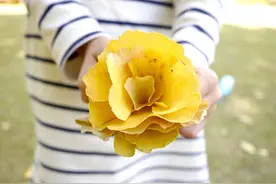 带孩子捡银杏叶做手工，6款创意教程，教你用双手变出艺术品图片