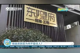 南京东望府：层高缩水、无法装马桶，承诺的地下跃层成了储藏室图片