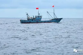 尝鲜啦！快看看日照“第一网”都捞了些啥……图片