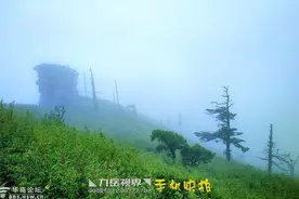 陕西秦岭鹿角梁上这块巨石要火！神似美国总统特朗普，你看像吗？图片