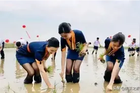 青岛航空空姐空少下地插秧，是作秀还是作秀？​图片