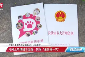 狗主人注意！老款养犬证明年5月1日起失效，手机就可办新证视频封面