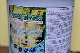 制作发酵饲料运用多糖性复合菌种营养基代替玉米降低成本效果更好图片