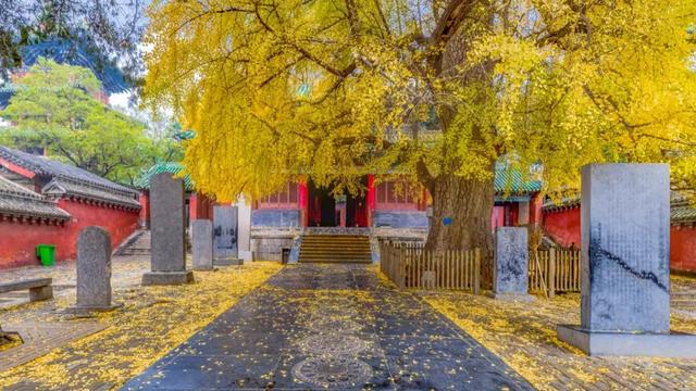 少林寺，凭什么为“名门正派”代言？