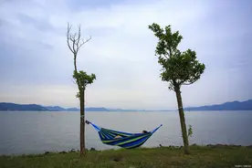 于中华：《一念之间》图片