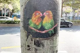 快看！深圳一社区树上“长出”小老虎啦图片