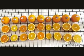 9种橙子测评：赣南脐橙、秭归脐橙等，谁才是橙子界的最强王者图片