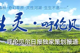 生灵·呼伦贝尔｜又凶又萌的兔狲图片