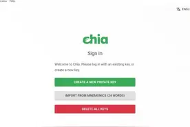 分享小白安装Chia过程中遇到的各类问题图片