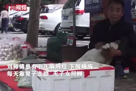 洛阳版忠犬八公！小狗照看无腿老人菜摊两月余不离不弃图片