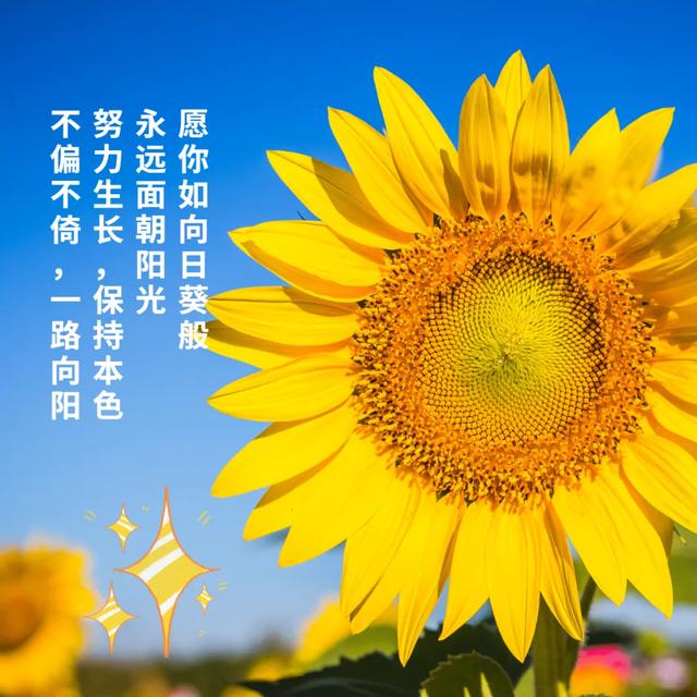 ʺϷȦ簲¼ ϷȦ