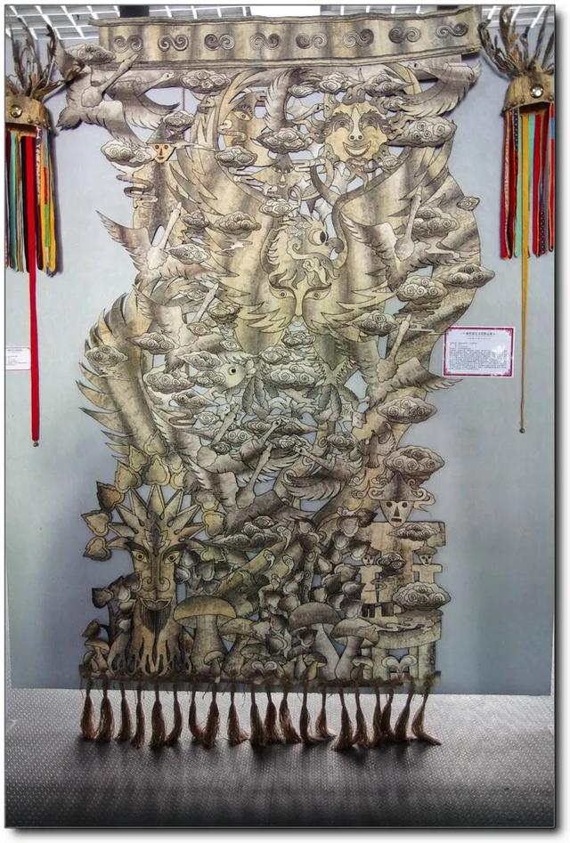 如何泡发干鱼皮 2026年怎么泡发干鱼皮