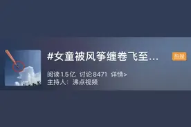 惊险视频！3岁女童被风筝缠住卷到半空，现场失控尖叫连连图片