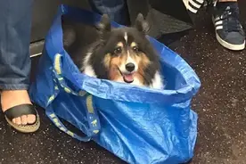 千万不要让老公给你拍照，否则你将配不上他哈哈哈哈哈哈哈图片