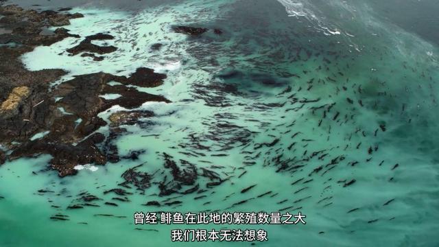 网飞首度公开播放数据，全球最多人看的神剧前十名，拯救剧荒的你