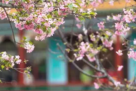 番禺​宝墨园强势入围！2021国内十大热门赏花目的地出炉图片