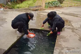 居民在井边建水池，1天100多人洗米洗菜洗拖把，看为啥不脏图片