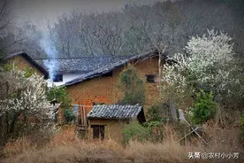 世间美景千万，而我只对它情有独钟《农村傍晚炊烟袅袅》图片