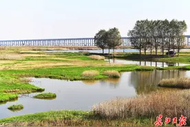 气温忽高忽低，昼夜温差达15℃！不妨试试三季衣服“叠穿法”图片