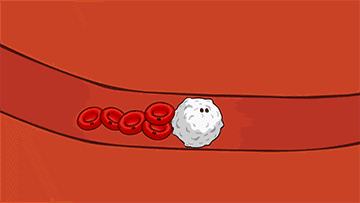 什么是酮体？我一直生酮，为什么酮体越来越低了？