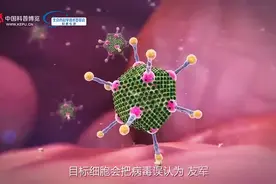 3分钟动画告诉你病毒是如何入侵人体的？视频封面