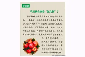 “一天一苹果，医生远离我”，苹果要怎么吃才健康？图片