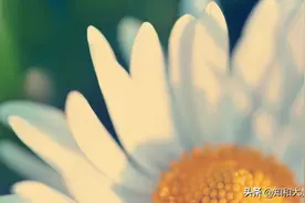 事实上，想要看透一个人，在他生气时就一清二楚了图片
