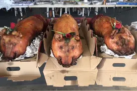 独家曝光澳大利亚外卖小哥“工资单”图片