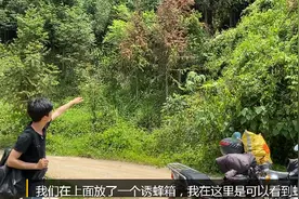 一个地方可不止一个好位置能放诱蜂箱哦，如果是你，选择放那里呢图片