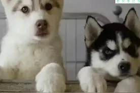 激怒4.6亿人，央视下场痛批！最“反人性”的生意，还在疯狂敛财图片