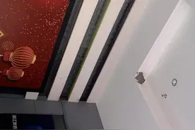 好兆头啊！杭州一家影院住进一窝燕子，还生了小燕子图片