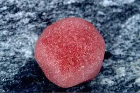 雪都是白色的！见过红色和绿色的雪吗？近期南极频现彩雪，咋回事图片