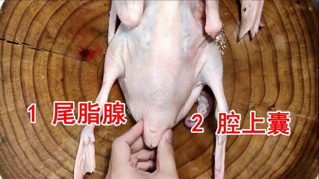 鸭子有十个地方毒素最重，不要随便吃，23年一级大厨专业详解