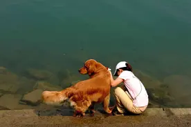 “宁让狗跳墙，莫让狗上房，狗若上了房，家破人要亡”有没有道理图片