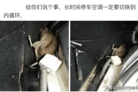 “给你们说个事，长时间停车，空调一定要切换到内循环！”哈哈哈图片
