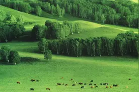 我独有，跟别人都不一样图片