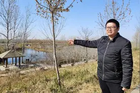 已监测到125种鸟儿，漯河市沙河国家湿地公园生态治理见成效图片